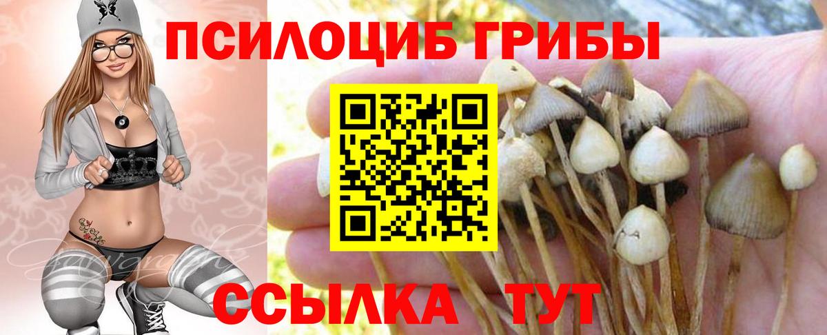 Павловский Посад  Псилоцибиновые грибы мухоморы  Псилоцибиновые грибы мицелий  Вход с VPN 